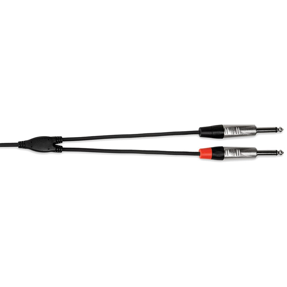 Hosa Rean 3.5mm TRS to Dual 1/4 Inch TS 10ft Pro Stereo Breakout Cable