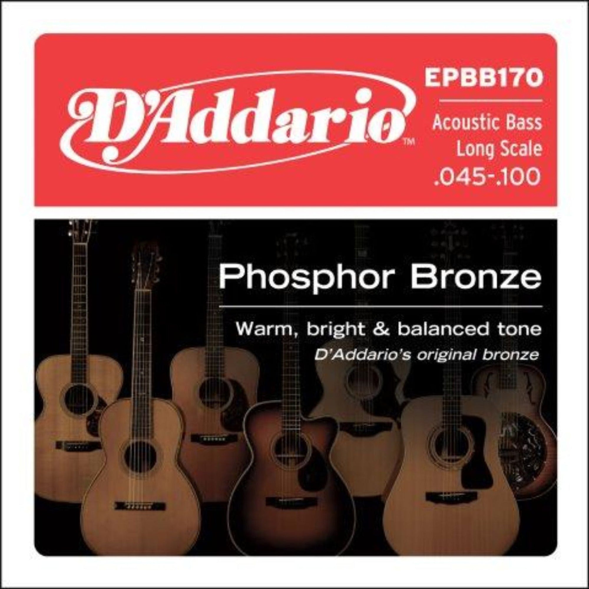 D'Addario's most popular acoustic bass set, EPBB170 provides a rich, deep and projecting tone. Phosphor Bronze was introduced to string making by D'Addario in 1974 and has become synonymous with warm, bright, and well balanced acoustic tone.