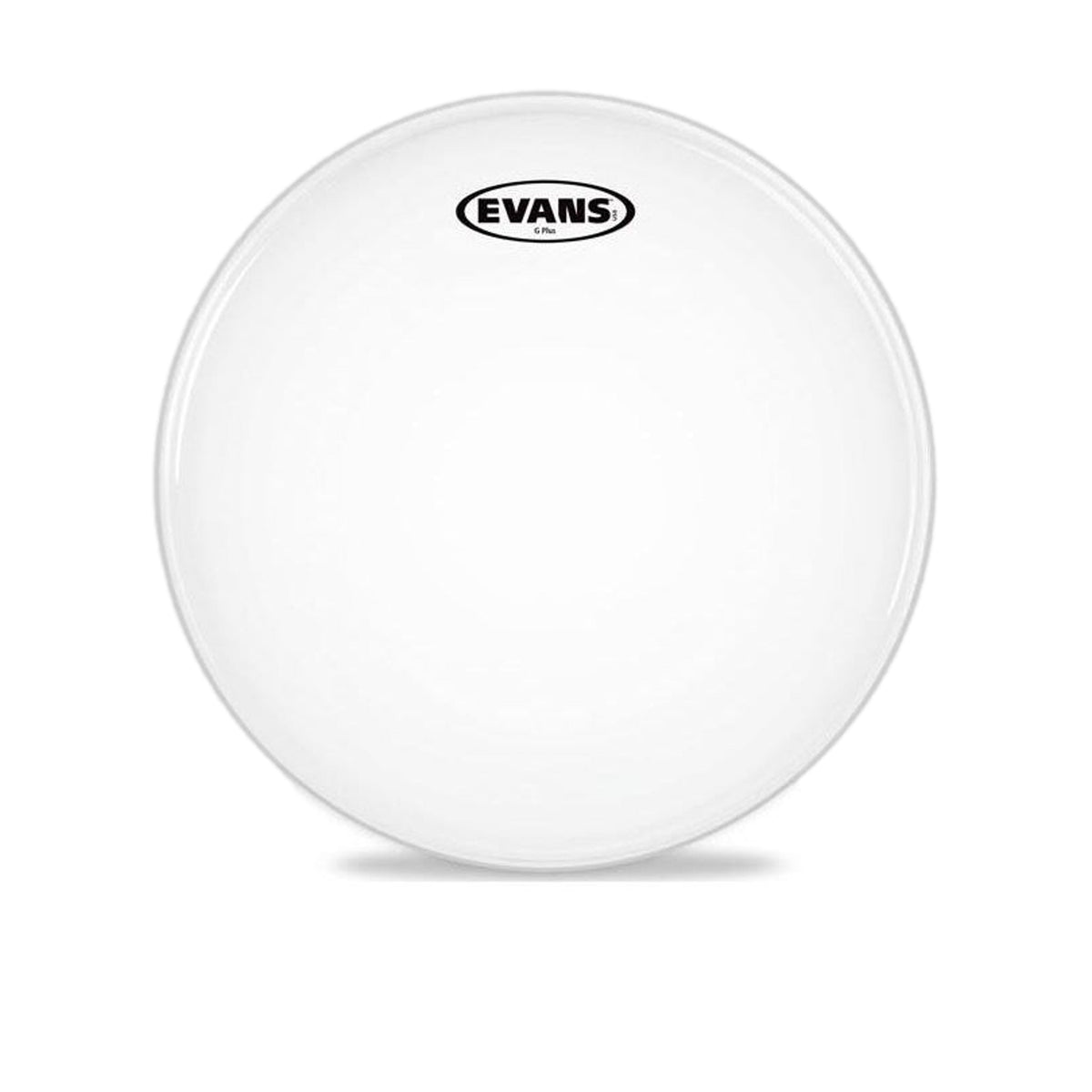 Evans G Plus 10 Inch Coated Drum Head B10GPW