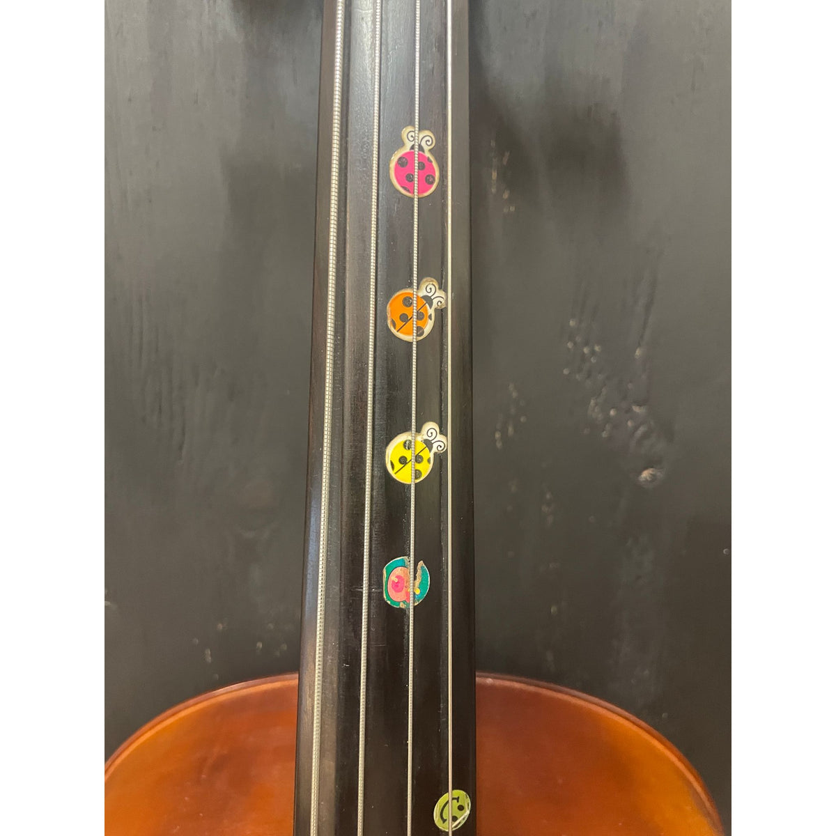 Used Arco Animato 3/4 Cello 2011 Outfit with Case and Accessories