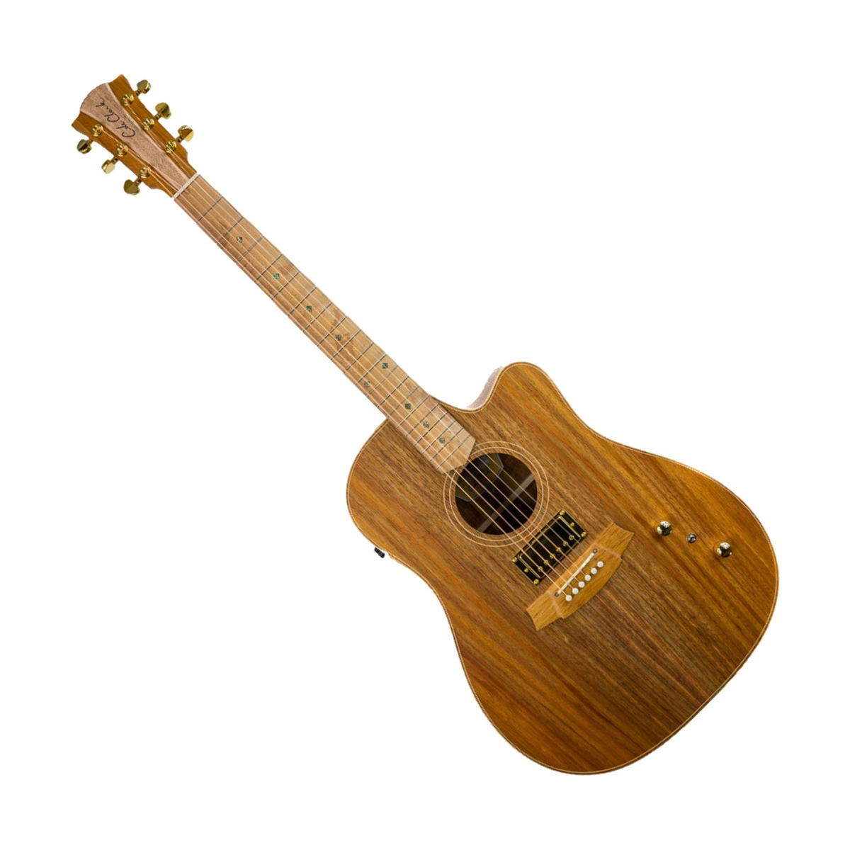 Cole Clark FL2EC-BLBL-HUM Acoustic-Electric Guitar