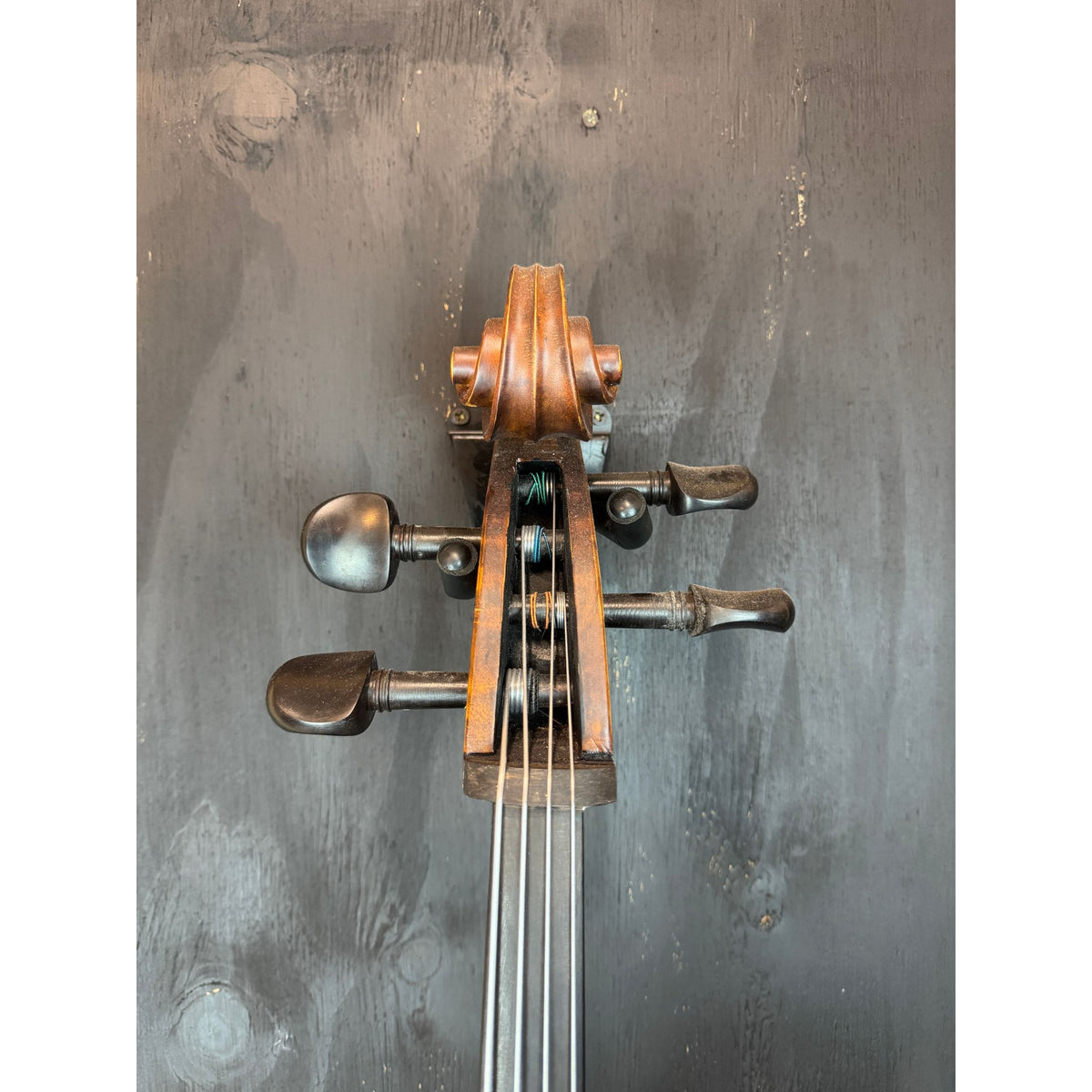 Used Enrico Student Cello 3/4 with Bow and Case