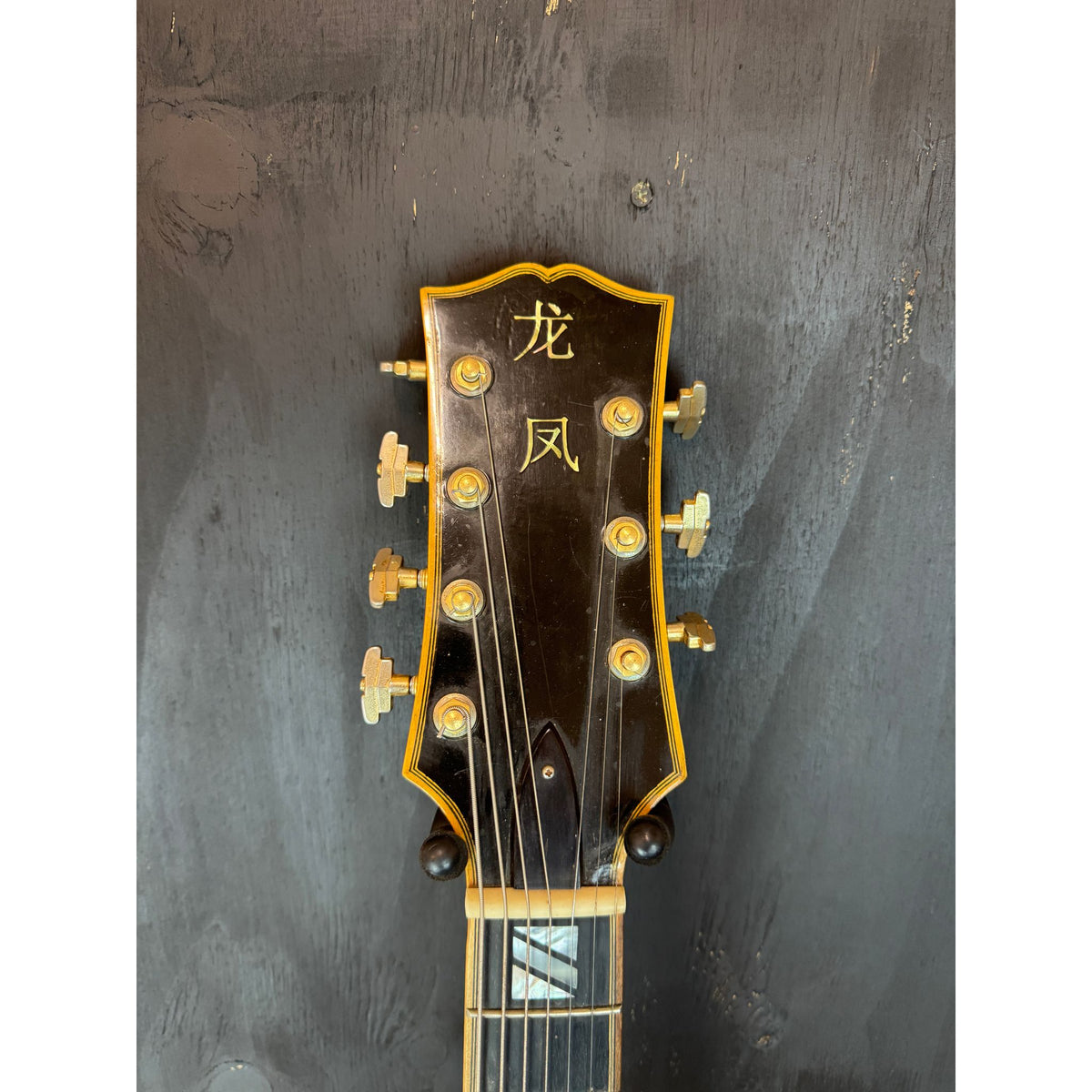 Used Custom Made 7-String Archtop with Case