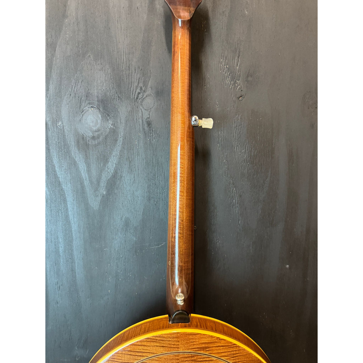 Used Washburn B16 5 String Resonator Banjo