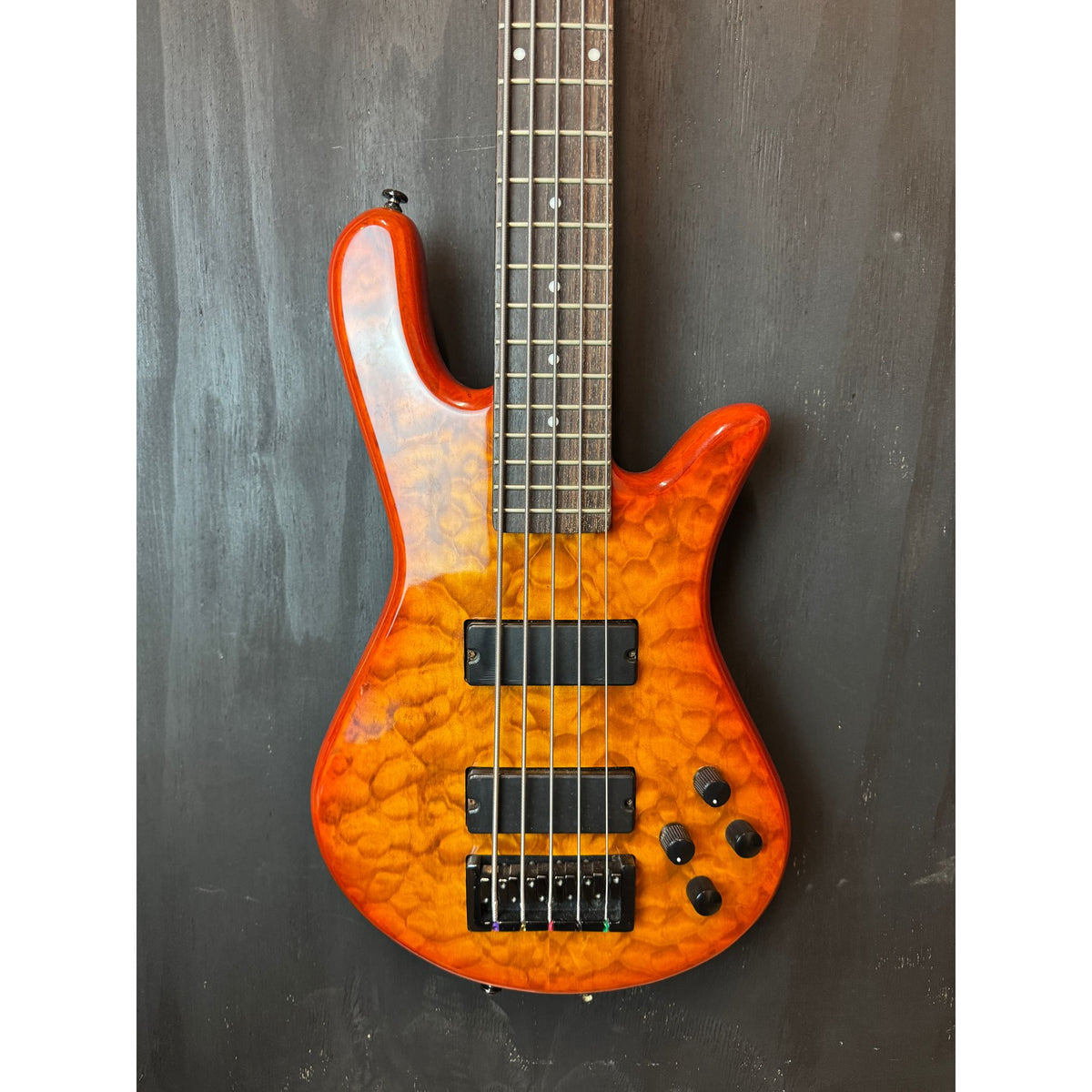 Used Spector 5 String Bass Made in Korea with Hardcase