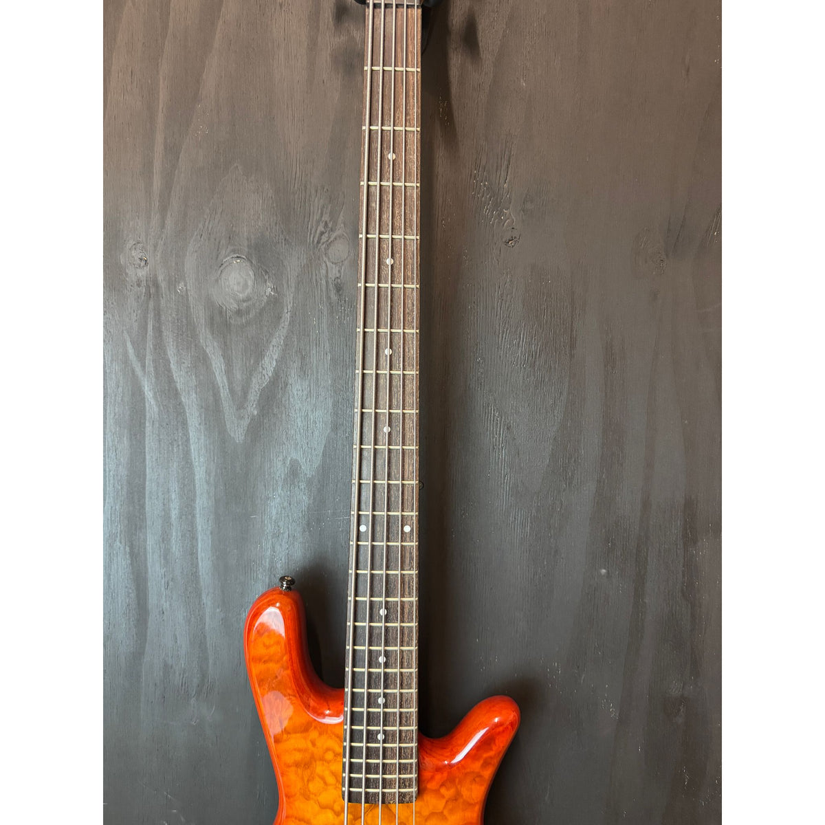 Used Spector 5 String Bass Made in Korea with Hardcase