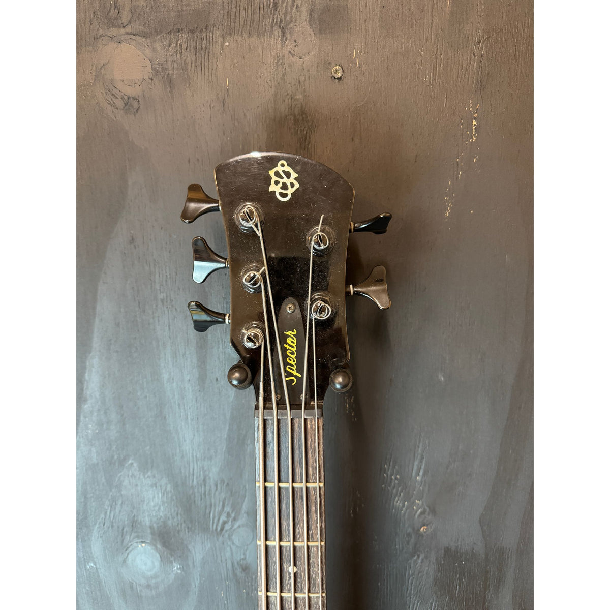 Used Spector 5 String Bass Made in Korea with Hardcase