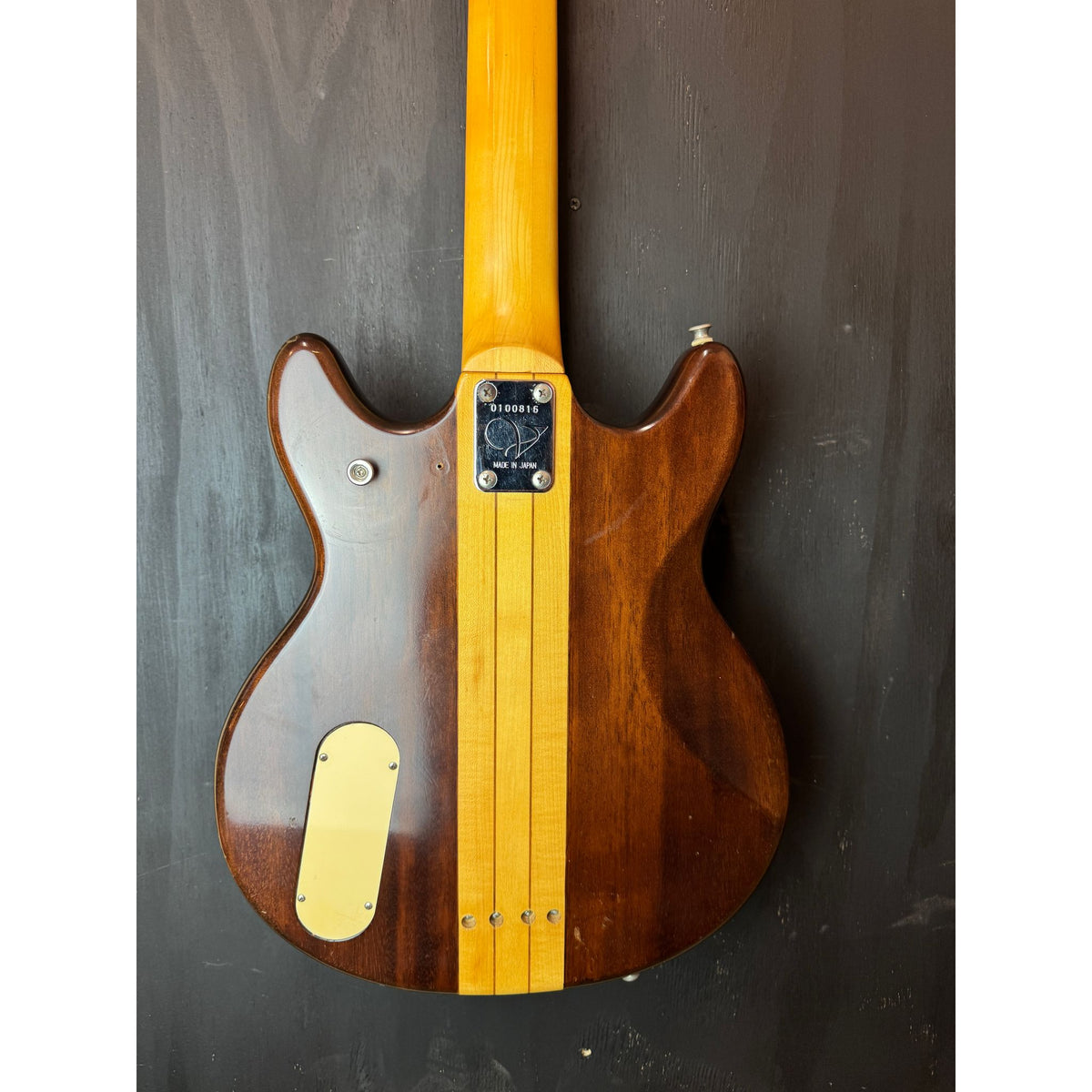 Used 1980 Vantage VS600B "The Witch" Bass in Hardcase