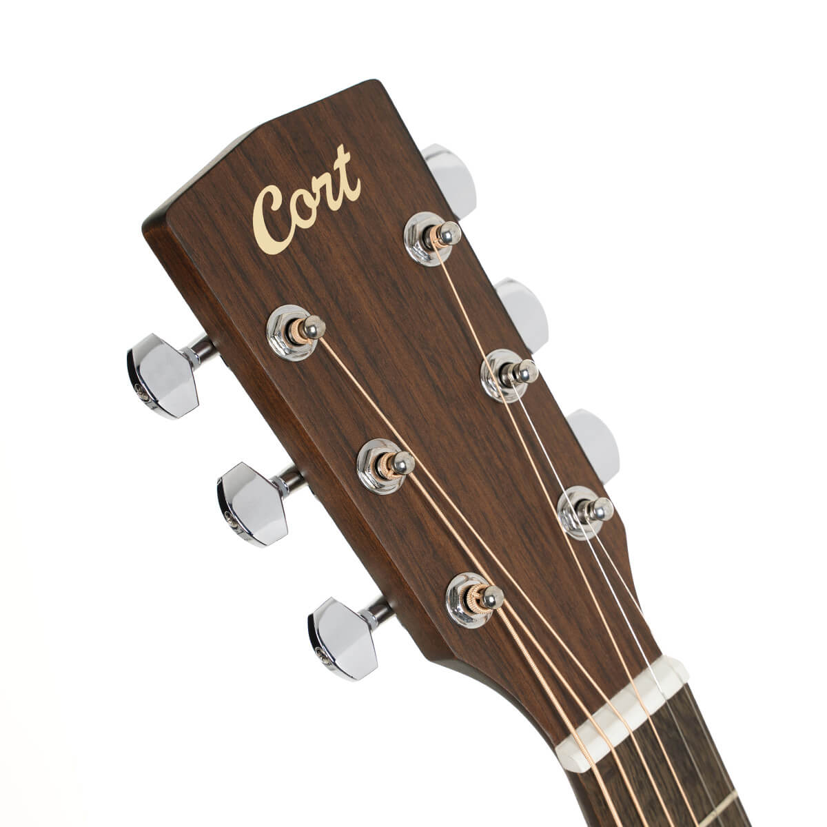 Cort Arium OM Acoustic Guitar