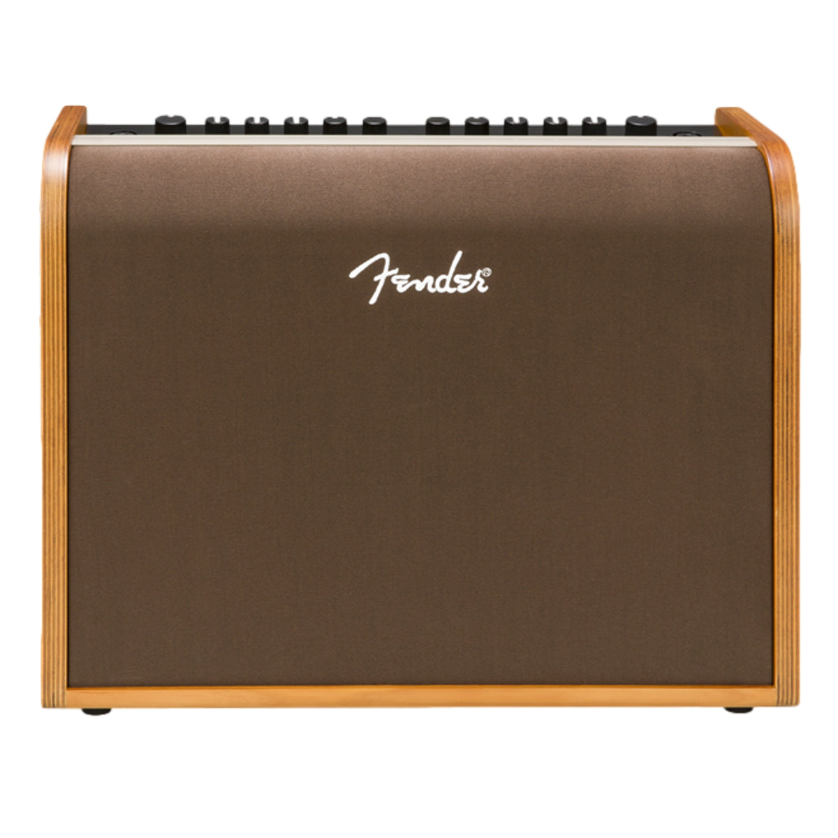 Fender Acoustic 100 Acoustic Guitar Amplifier
