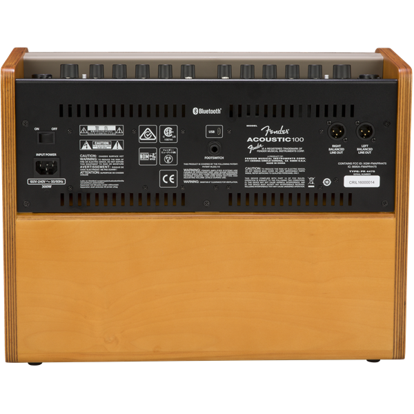 Fender Acoustic 100 Acoustic Guitar Amplifier