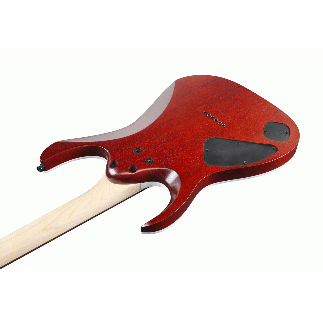 Ibanez RGA42FM TGF Electric Guitar